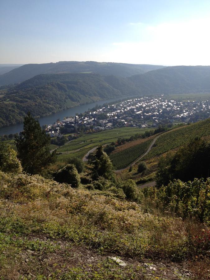 Hotel Springiersbacher-Hof Креф Экстерьер фото
