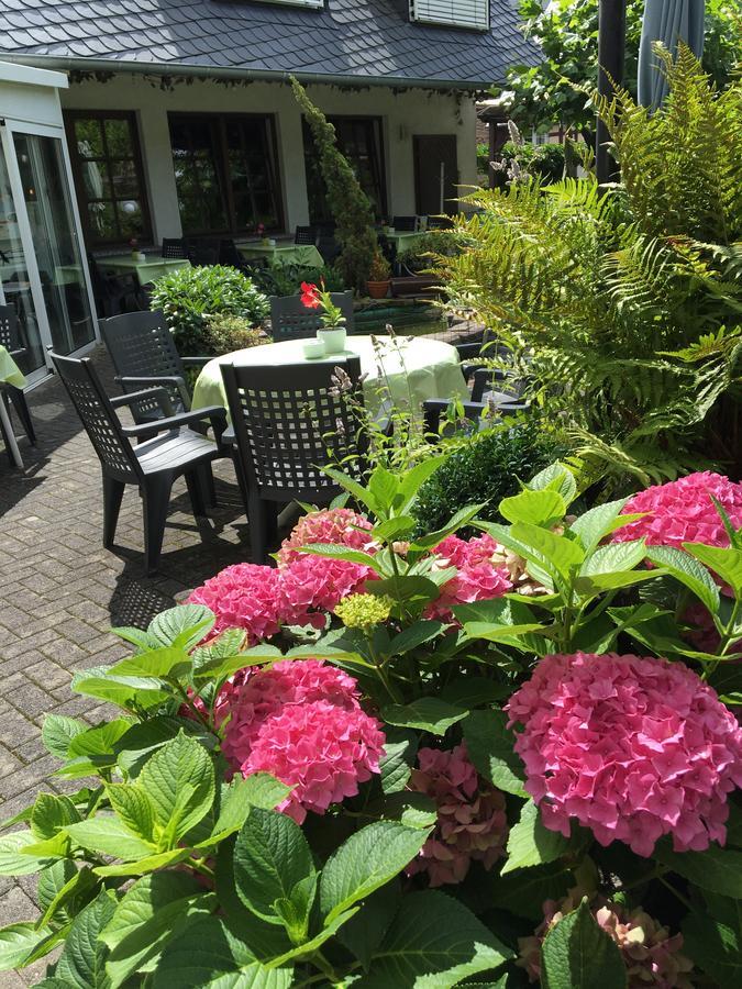 Hotel Springiersbacher-Hof Креф Экстерьер фото
